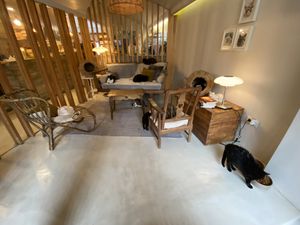   at O Porto dos Gatos in Porto