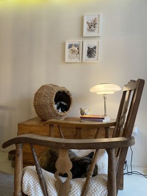   at O Porto dos Gatos in Porto