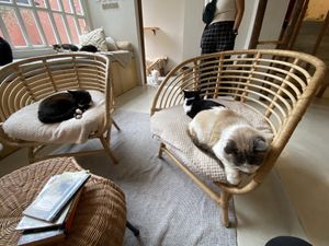   at O Porto dos Gatos in Porto