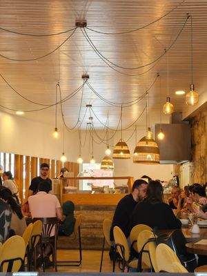  at O Porto dos Gatos in Porto