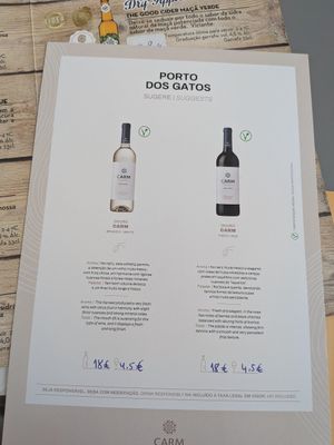  at O Porto dos Gatos in Porto