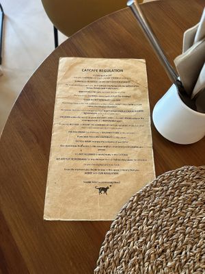   at O Porto dos Gatos in Porto