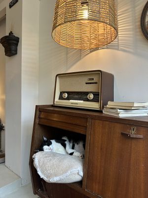   at O Porto dos Gatos in Porto