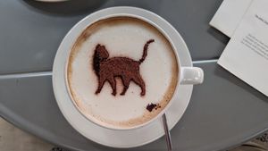  at O Porto dos Gatos in Porto