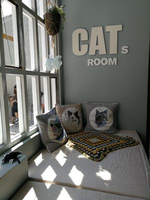 Salinha dos gatos at O Porto dos Gatos in Porto