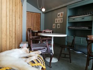 Salinha dos gatos at O Porto dos Gatos in Porto