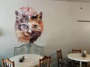 O porto dos gatos at O Porto dos Gatos in Porto