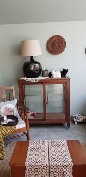 Really cool cat room at O Porto dos Gatos in Porto