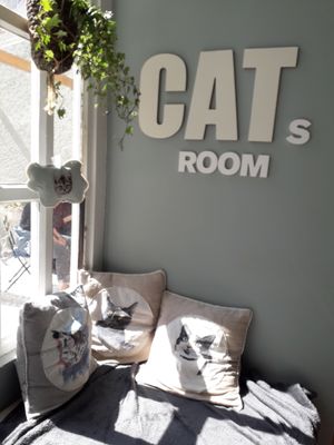 Love this place! at O Porto dos Gatos in Porto