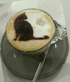 Very good! at O Porto dos Gatos in Porto