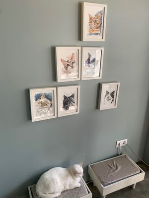 A friend and portraits of the cats in the cafe at O Porto dos Gatos in Porto