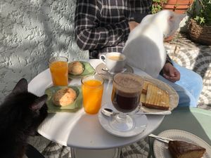 Part of the brunch menu at O Porto dos Gatos in Porto