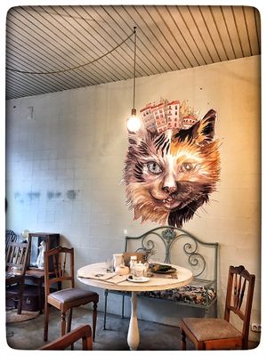 Some of the decoration at O Porto dos Gatos in Porto