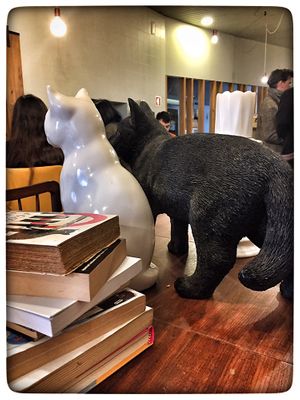 On the table I ate at O Porto dos Gatos in Porto