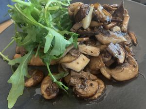 Mushroom starter dish  at Sorella Sorella in Gateshead