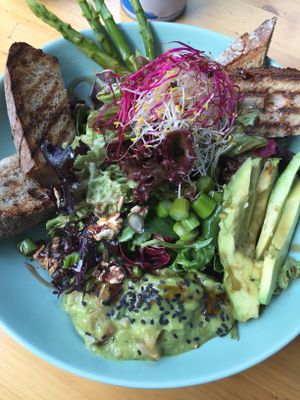 Avocado lover salad  at Claus Eismanufaktur & Deli in Stuttgart