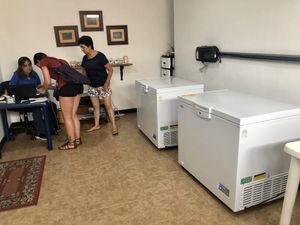 View from inside with two freezers full of products   at Casa Vegetariana in Medellin