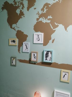 Servicios at Veggie Penguin in Tenerife