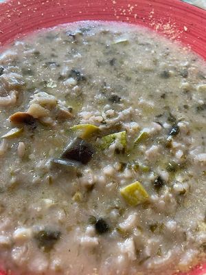 Risotto, with courgettes, mushrooms and nutritional yeast at Veggie Penguin in Tenerife