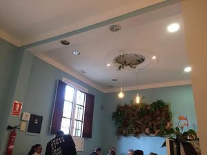   at Veggie Penguin in Tenerife