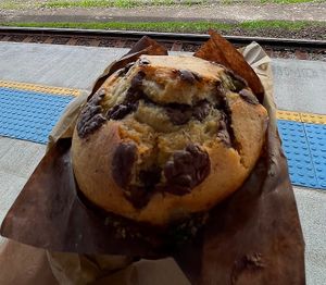Choc Chip Muffin  at Shift Eatery in Surry Hills