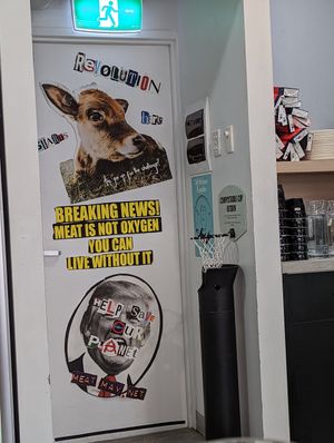 Cool compostable cup collector at Shift Eatery in Surry Hills