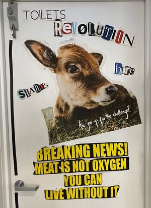   at Shift Eatery in Surry Hills