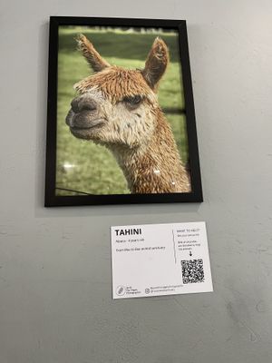   at Shift Eatery in Surry Hills