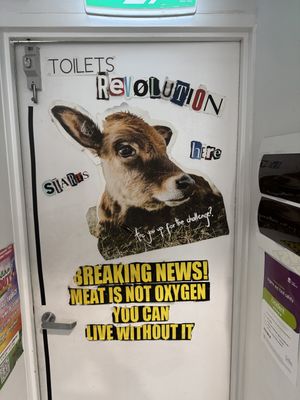   at Shift Eatery in Surry Hills