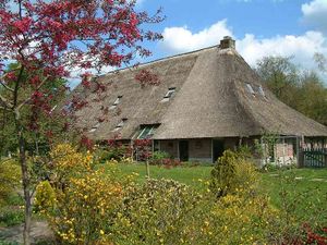 Saxonian Farmhouse with thatched roof. at In de Groene Lantaarn in Hoogeveen