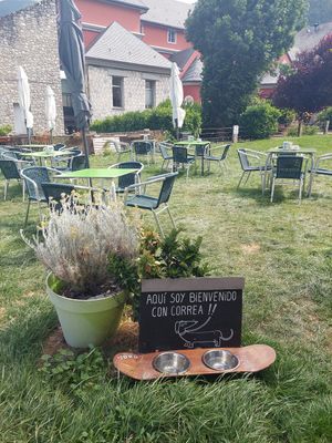 Terraza at Kuki's in Viella