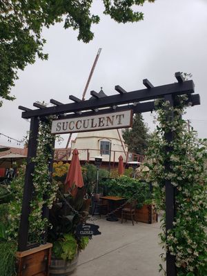 Open for lunch and dinner at Succulent Cafe in Solvang