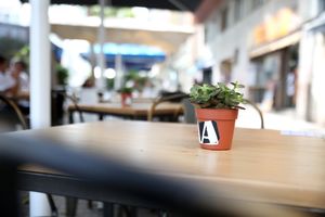 Terraza at Avocado in Barcelona