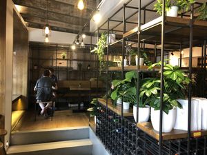 Inside at Avocado in Barcelona