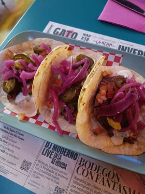 Tacos (12€) at Freedom Cakes Bakery in Madrid