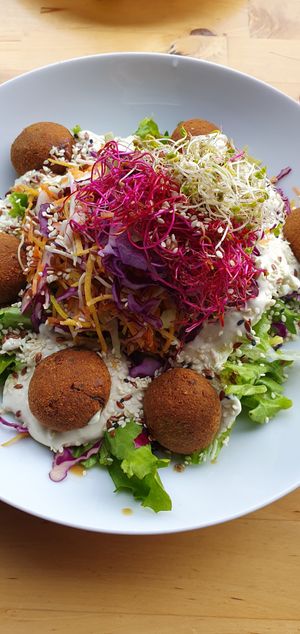 Falafel salad at Simple Green in Zagreb