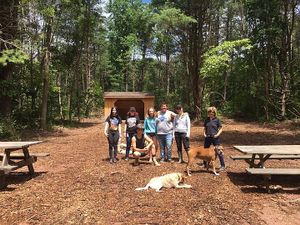 Vegans camping at Vahimsa in Shamokin