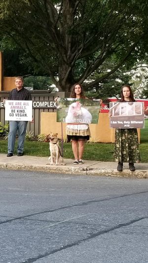save movement chicken vigil  at Vahimsa in Shamokin