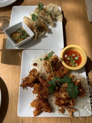 Potstickers and cauliflower bomb at Kati Vegan Thai in Seattle