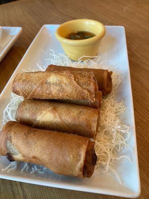 Spring Rolls at Kati Vegan Thai in Seattle