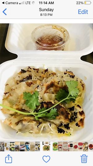 Potstickers at Kati Vegan Thai in Seattle