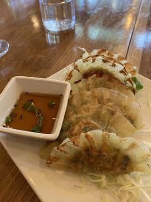 Potstickers  at Kati Vegan Thai in Seattle