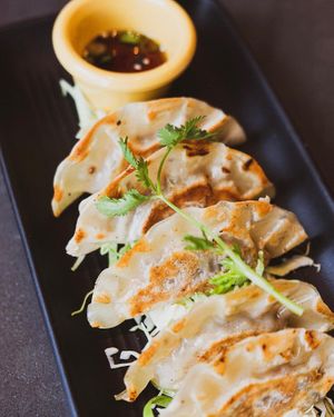Housemade Pot Stickers at Kati Vegan Thai in Seattle