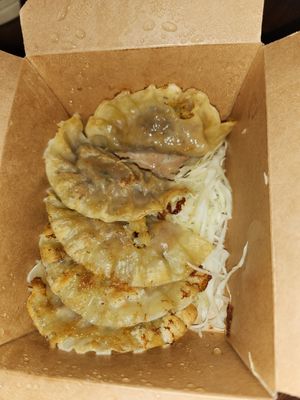 Potstickers at Kati Vegan Thai in Seattle