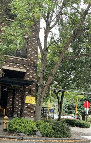   at Kati Vegan Thai in Seattle