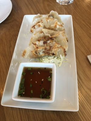 House-made pot stickers at Kati Vegan Thai in Seattle