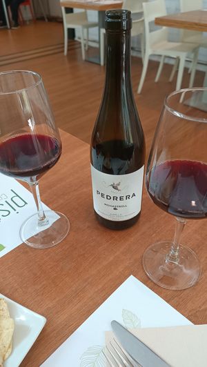 Vin vegan pedrera at Pistatxo in Murcia