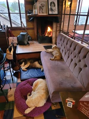  at Cafe Mosaico in Quito