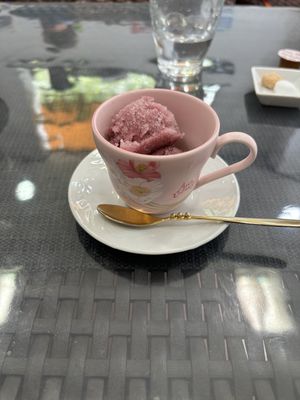 Sorbet (vegan)  at Cafe Douce in Hakone