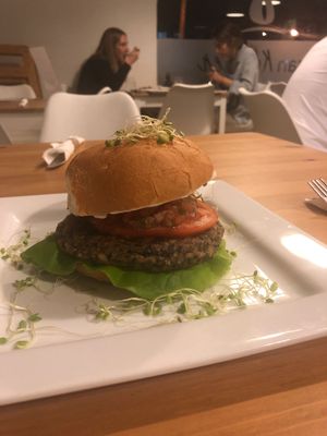 Yammi at Vgan Kitchen in Miami